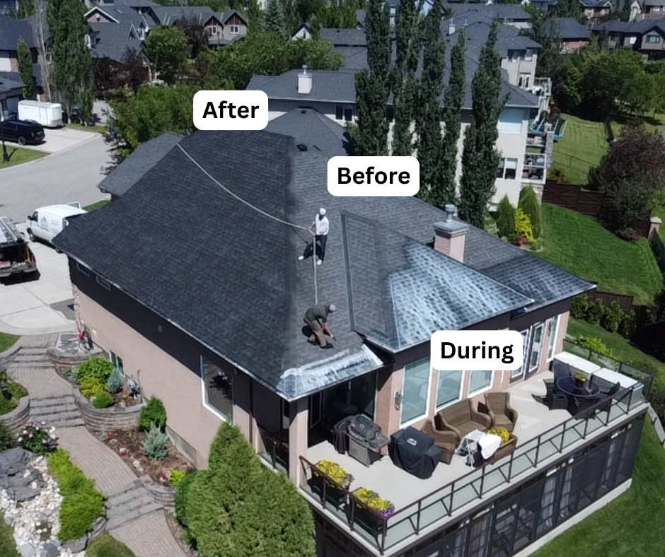 Roof rejuvenation in progress — before, during, and after treatment